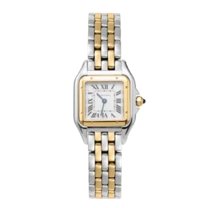 Panthere de Cartier 18K Yellow Gold & Steel Watch | 2026 Brand New