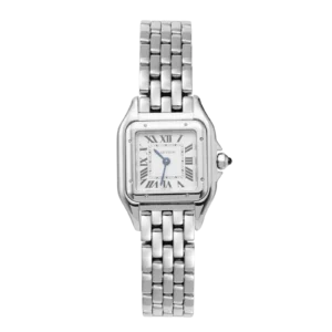 Panthere de Cartier Steel Watch | 2026 Brand New